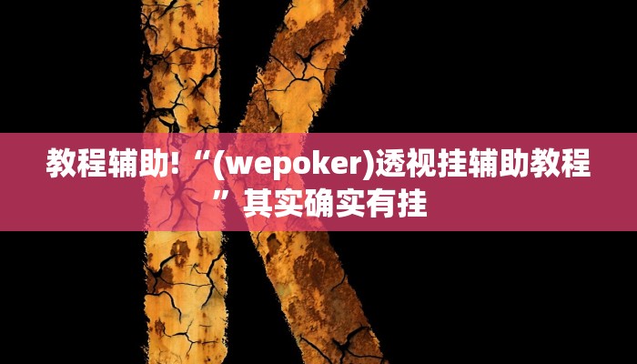 教程辅助!“(wepoker)透视挂辅助教程”其实确实有挂
