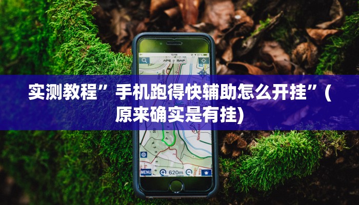 实测教程”手机跑得快辅助怎么开挂”(原来确实是有挂)