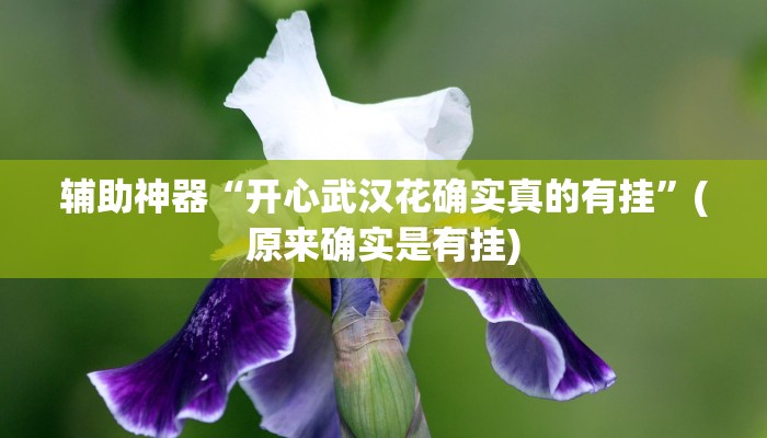辅助神器“开心武汉花确实真的有挂”(原来确实是有挂)