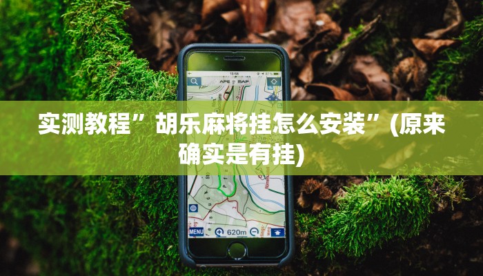 实测教程”胡乐麻将挂怎么安装”(原来确实是有挂)