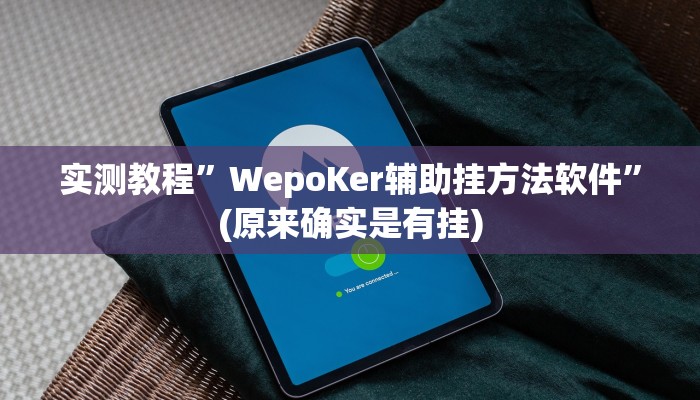实测教程”WepoKer辅助挂方法软件”(原来确实是有挂)