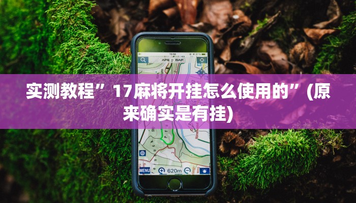实测教程”17麻将开挂怎么使用的”(原来确实是有挂)