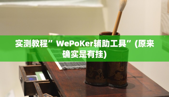 实测教程”WePoKer辅助工具”(原来确实是有挂)