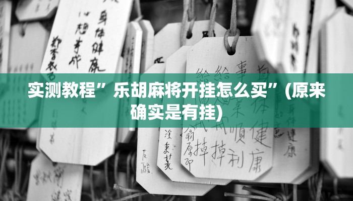 实测教程”乐胡麻将开挂怎么买”(原来确实是有挂)
