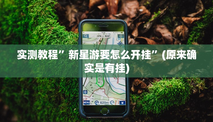实测教程”新星游要怎么开挂”(原来确实是有挂)
