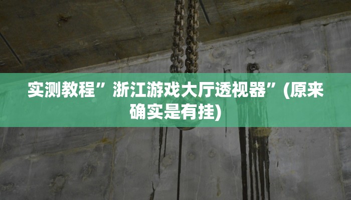 实测教程”浙江游戏大厅透视器”(原来确实是有挂)