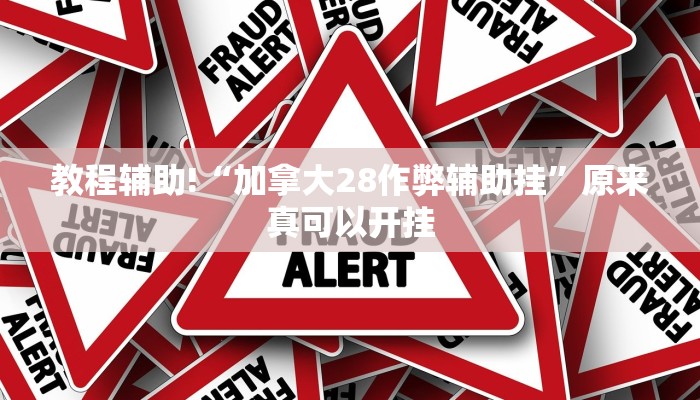 教程辅助!“加拿大28作弊辅助挂”原来真可以开挂