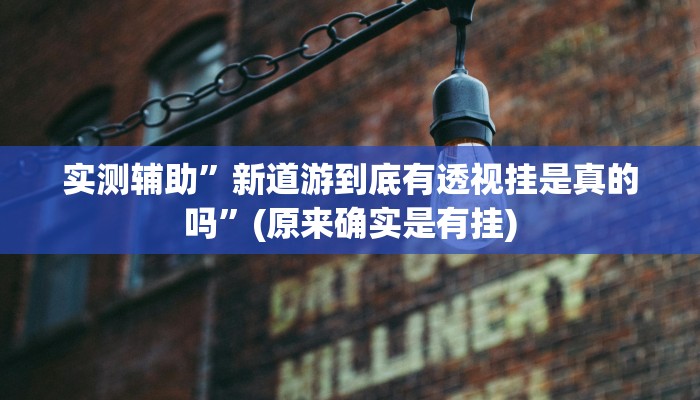实测辅助”新道游到底有透视挂是真的吗”(原来确实是有挂)