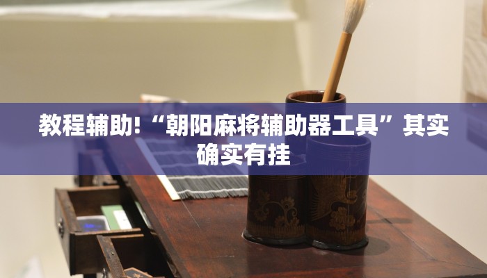 教程辅助!“朝阳麻将辅助器工具”其实确实有挂
