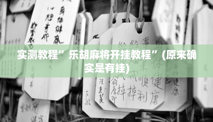 实测教程”乐胡麻将开挂教程”(原来确实是有挂)