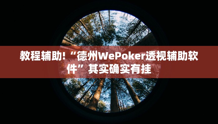 教程辅助!“德州WePoker透视辅助软件”其实确实有挂