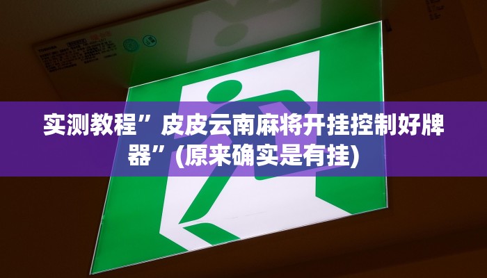 实测教程”皮皮云南麻将开挂控制好牌器”(原来确实是有挂)