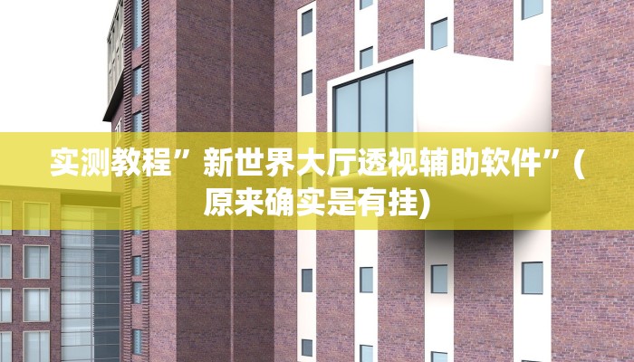 实测教程”新世界大厅透视辅助软件”(原来确实是有挂)