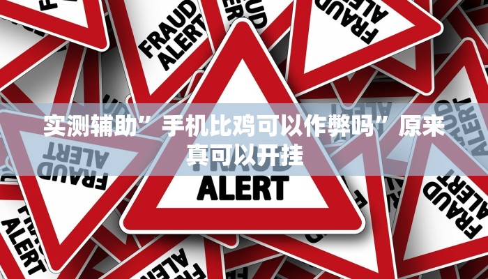实测辅助”手机比鸡可以作弊吗”原来真可以开挂