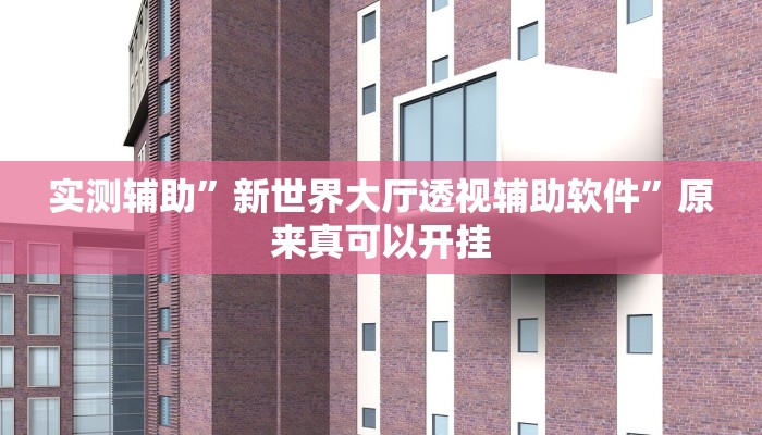实测辅助”新世界大厅透视辅助软件”原来真可以开挂
