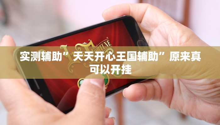 实测辅助”天天开心王国辅助”原来真可以开挂