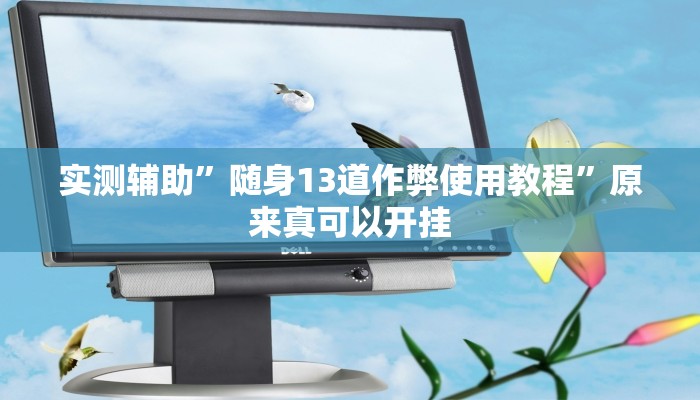 实测辅助”随身13道作弊使用教程”原来真可以开挂