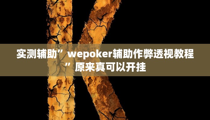 实测辅助”wepoker辅助作弊透视教程”原来真可以开挂