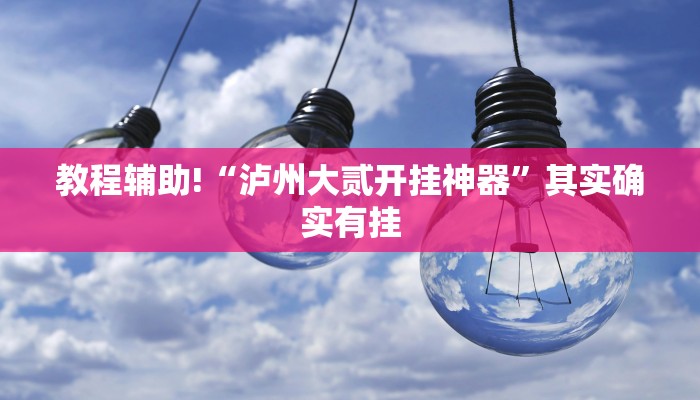 教程辅助!“泸州大贰开挂神器”其实确实有挂