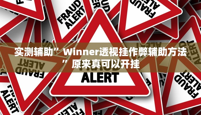 实测辅助”Winner透视挂作弊辅助方法”原来真可以开挂