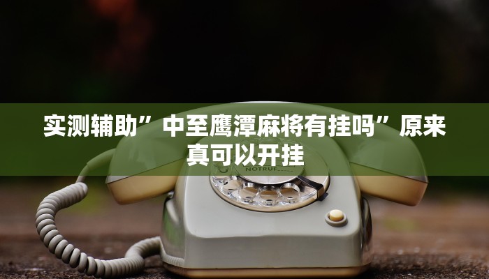 实测辅助”中至鹰潭麻将有挂吗”原来真可以开挂