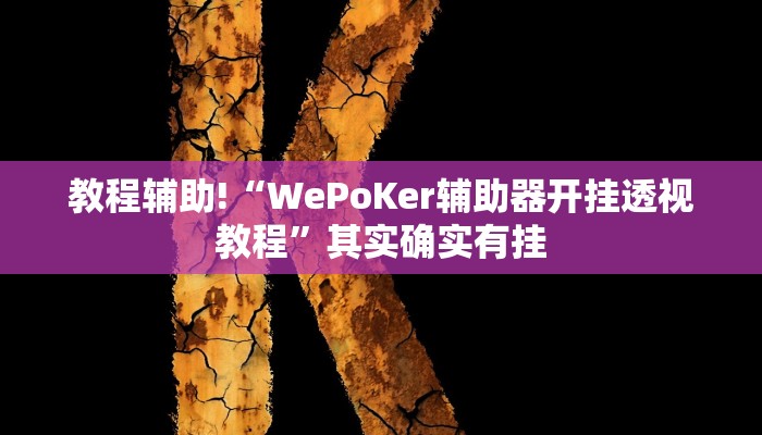 教程辅助!“WePoKer辅助器开挂透视教程”其实确实有挂