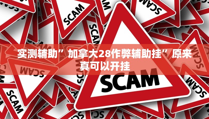 实测辅助”加拿大28作弊辅助挂”原来真可以开挂