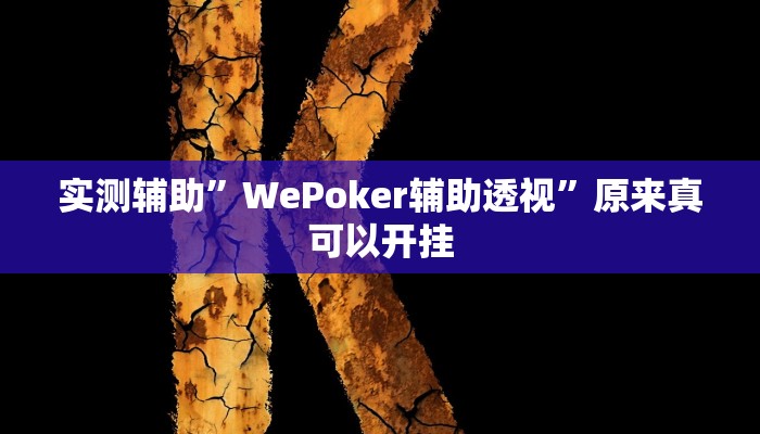 实测辅助”WePoker辅助透视”原来真可以开挂