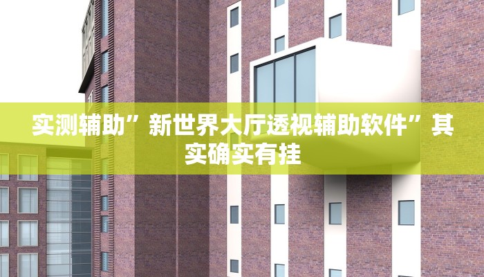 实测辅助”新世界大厅透视辅助软件”其实确实有挂