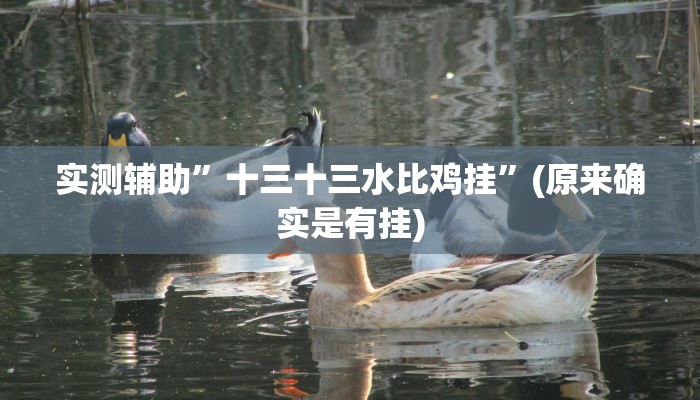 实测辅助”十三十三水比鸡挂”(原来确实是有挂)