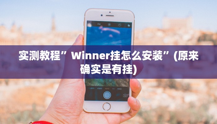 实测教程”Winner挂怎么安装”(原来确实是有挂)