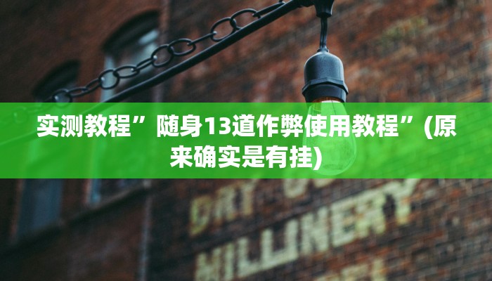 实测教程”随身13道作弊使用教程”(原来确实是有挂)