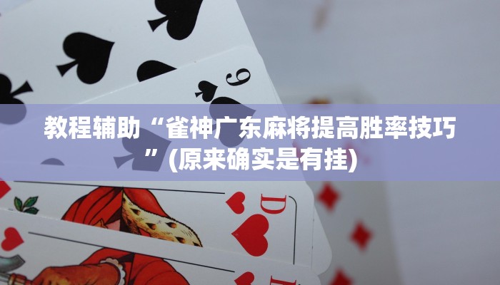 教程辅助“雀神广东麻将提高胜率技巧”(原来确实是有挂)