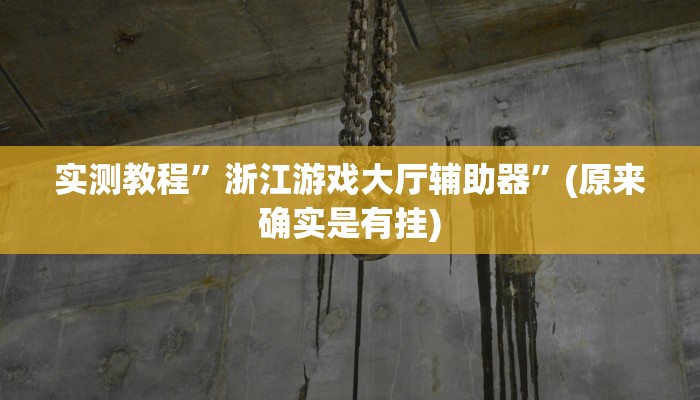 实测教程”浙江游戏大厅辅助器”(原来确实是有挂)