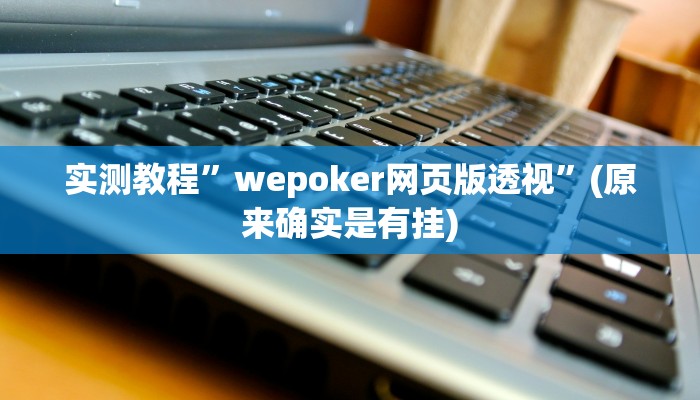 实测教程”wepoker网页版透视”(原来确实是有挂)