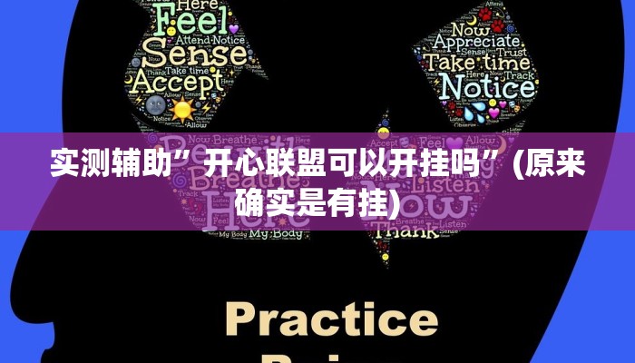 实测辅助”开心联盟可以开挂吗”(原来确实是有挂)