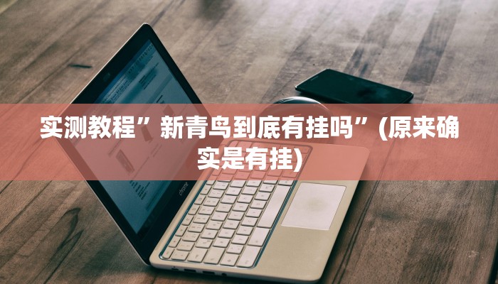 实测教程”新青鸟到底有挂吗”(原来确实是有挂)