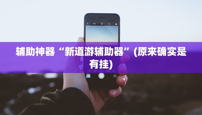 辅助神器“新道游辅助器”(原来确实是有挂)