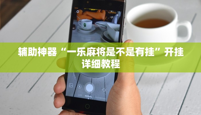 辅助神器“一乐麻将是不是有挂”开挂详细教程