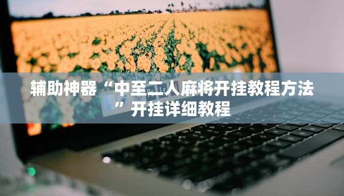 辅助神器“中至二人麻将开挂教程方法”开挂详细教程