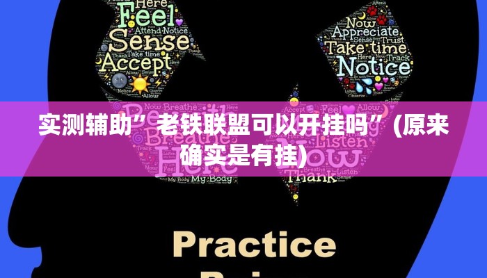 实测辅助”老铁联盟可以开挂吗”(原来确实是有挂)