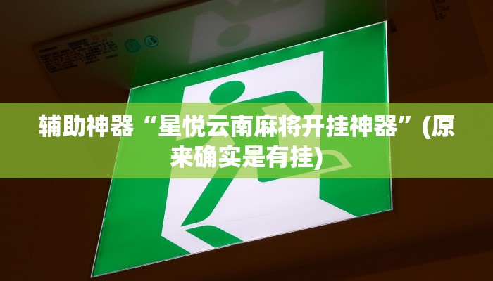 辅助神器“星悦云南麻将开挂神器”(原来确实是有挂)