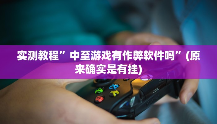 实测教程”中至游戏有作弊软件吗”(原来确实是有挂)