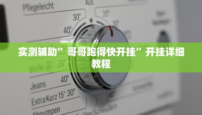 实测辅助”哥哥跑得快开挂”开挂详细教程