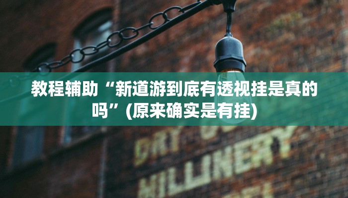 教程辅助“新道游到底有透视挂是真的吗”(原来确实是有挂)