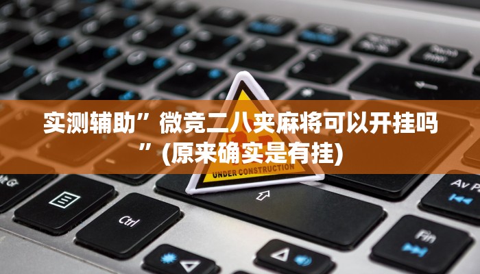 实测辅助”微竞二八夹麻将可以开挂吗”(原来确实是有挂)