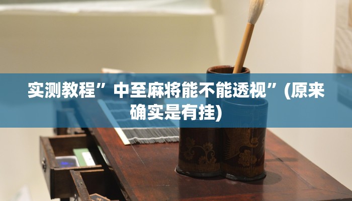 实测教程”中至麻将能不能透视”(原来确实是有挂)