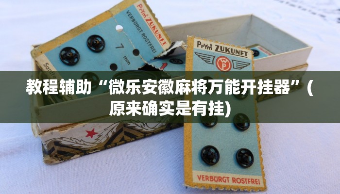教程辅助“微乐安徽麻将万能开挂器”(原来确实是有挂)
