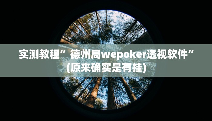 实测教程”德州局wepoker透视软件”(原来确实是有挂)