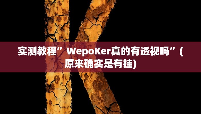 实测教程”WepoKer真的有透视吗”(原来确实是有挂)